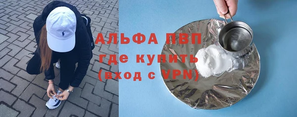 СК Алексин