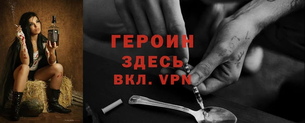 СК Алексин