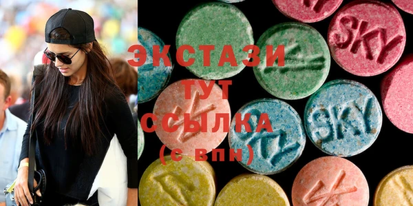 СК Алексин