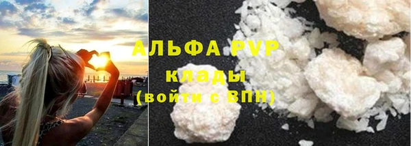СК Алексин