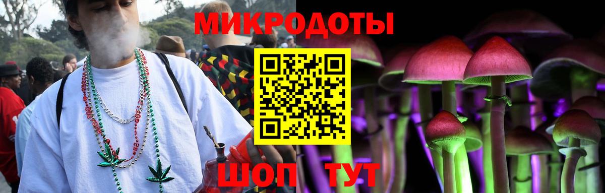 Псилоцибиновые грибы мухоморы Новоалтайск